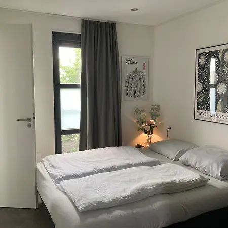 Enkhuizer Asami San Erste Reihe Mit Zaun Haus Nr 262 *