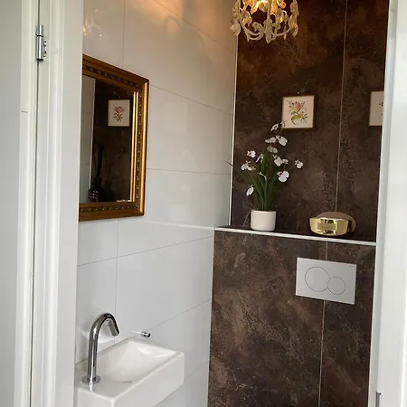 Enkhuizer Asami San Erste Reihe Mit Zaun Haus Nr 262 Enkhuizen